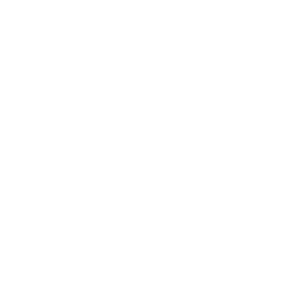 Kick Icon