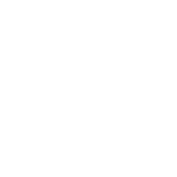 Twitter Icon
