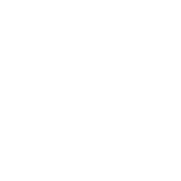 Valorant Icon